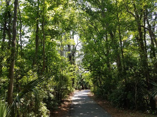 Sea Pines Forest Preserve